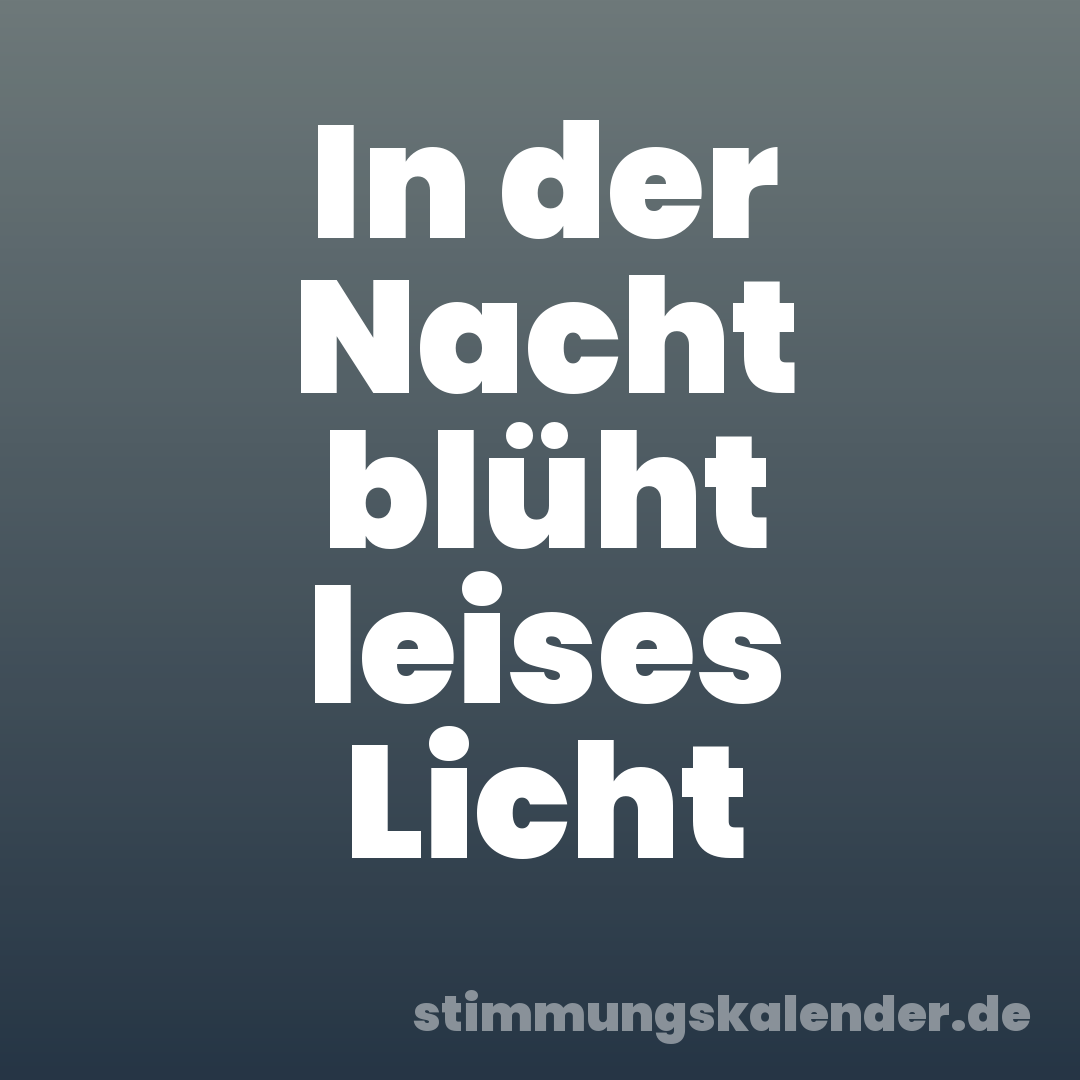 In der Nacht blüht leises Licht