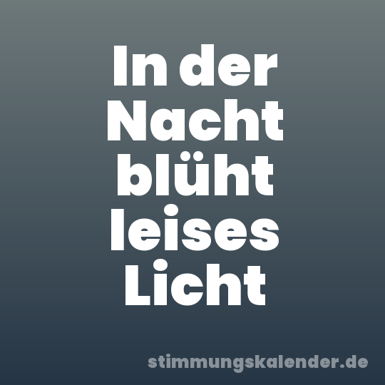 In der Nacht blüht leises Licht
