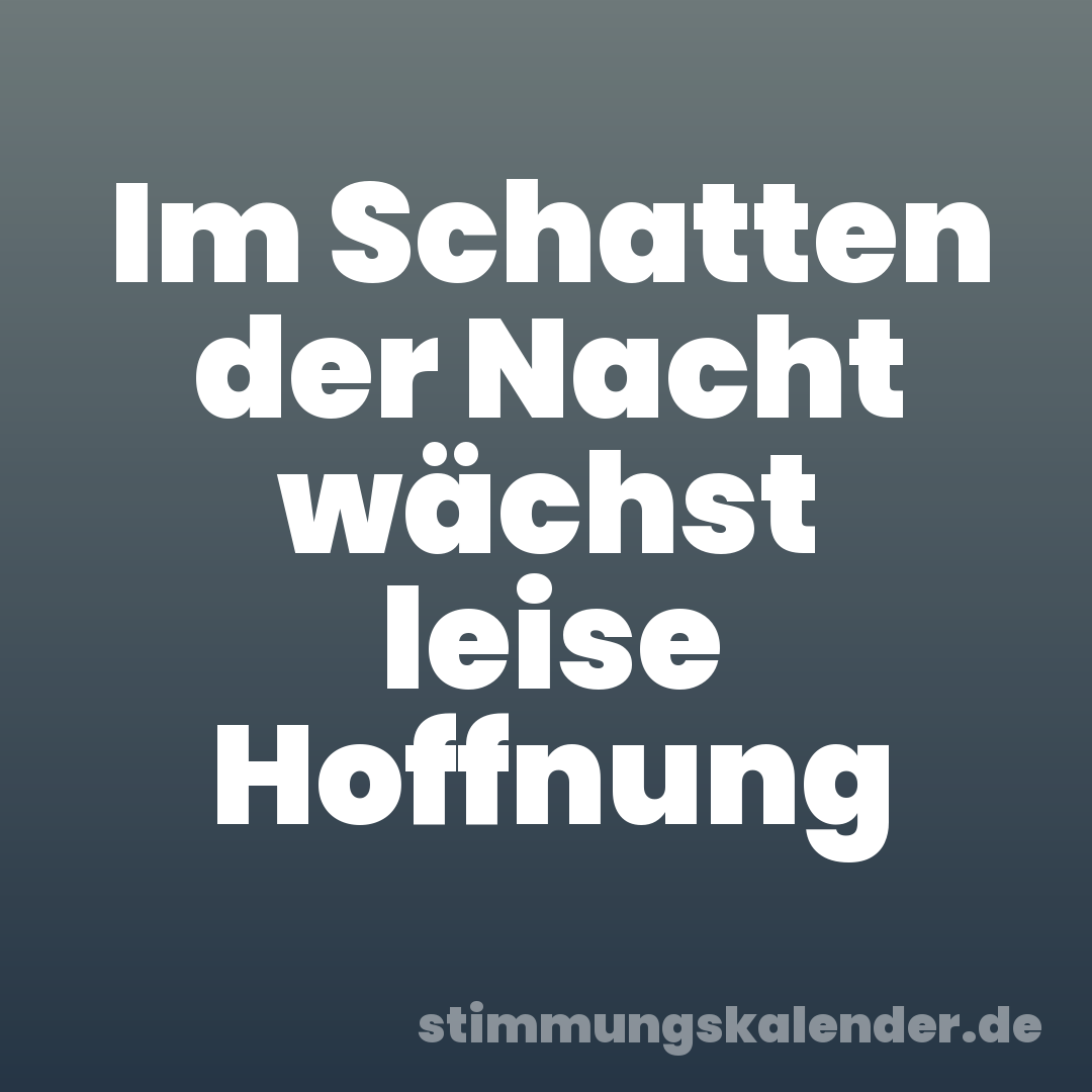 Im Schatten der Nacht wächst leise Hoffnung