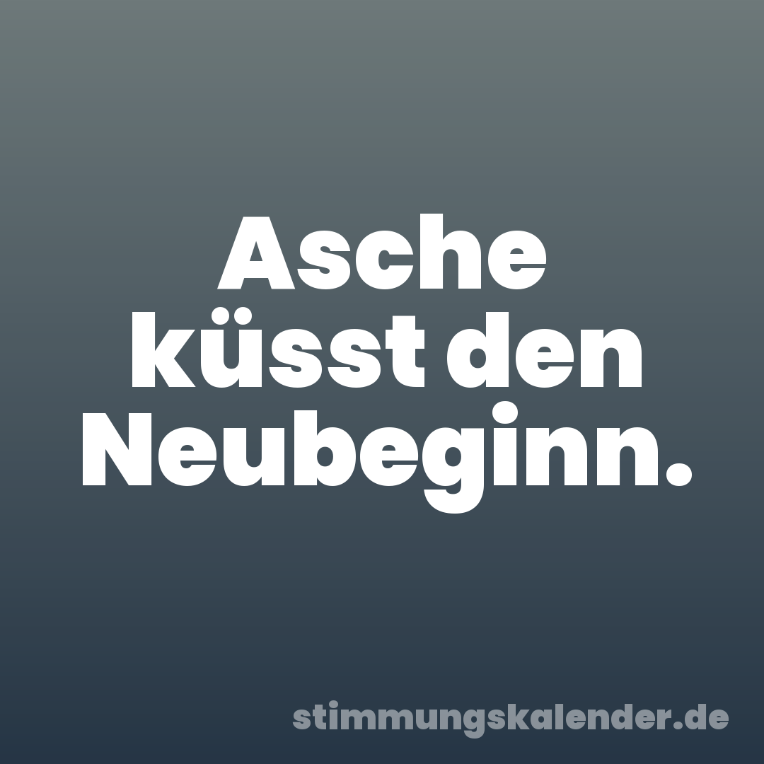 Asche küsst den Neubeginn.