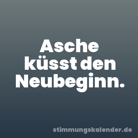 Asche küsst den Neubeginn.