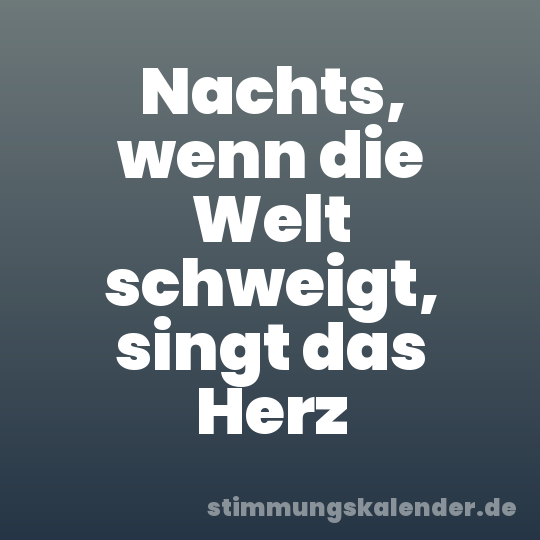 Nachts, wenn die Welt schweigt, singt das Herz