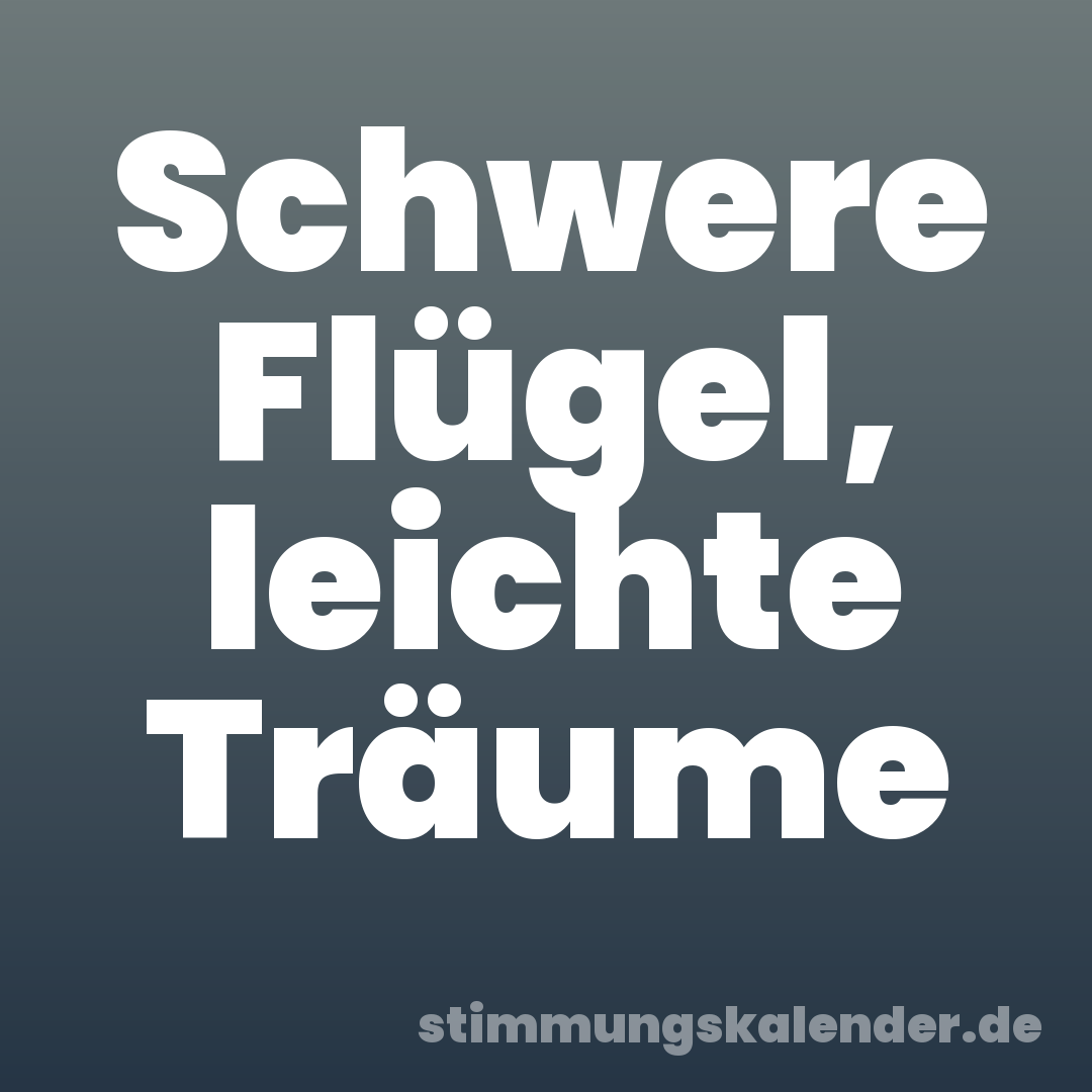 Schwere Flügel, leichte Träume