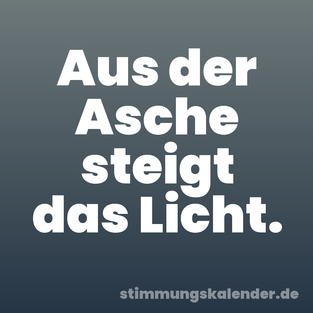 Aus der Asche steigt das Licht.