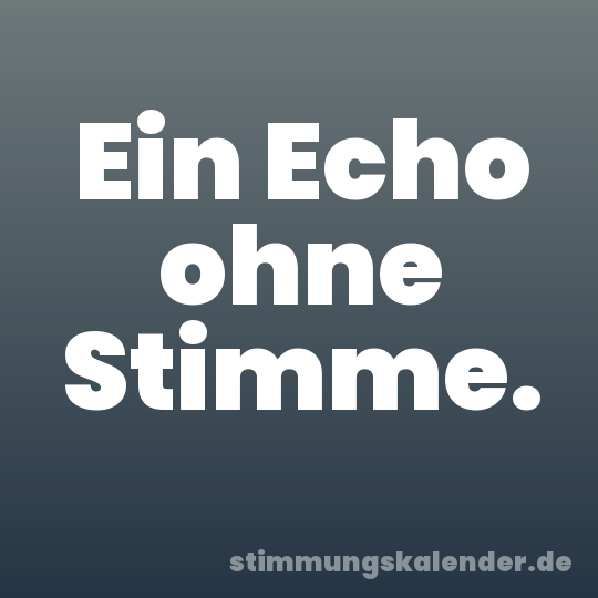 Ein Echo ohne Stimme.