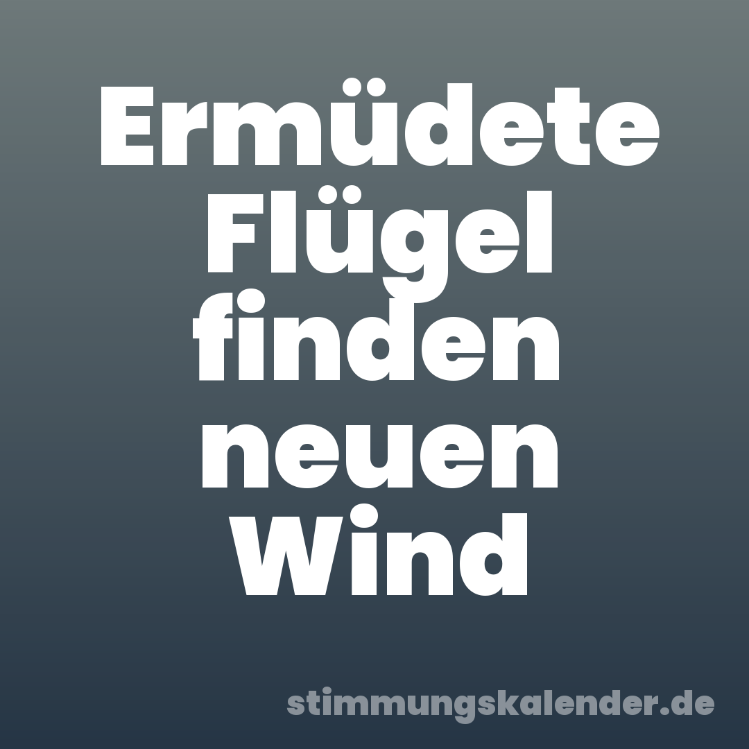 Ermüdete Flügel finden neuen Wind