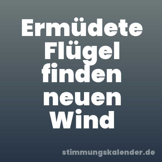 Ermüdete Flügel finden neuen Wind