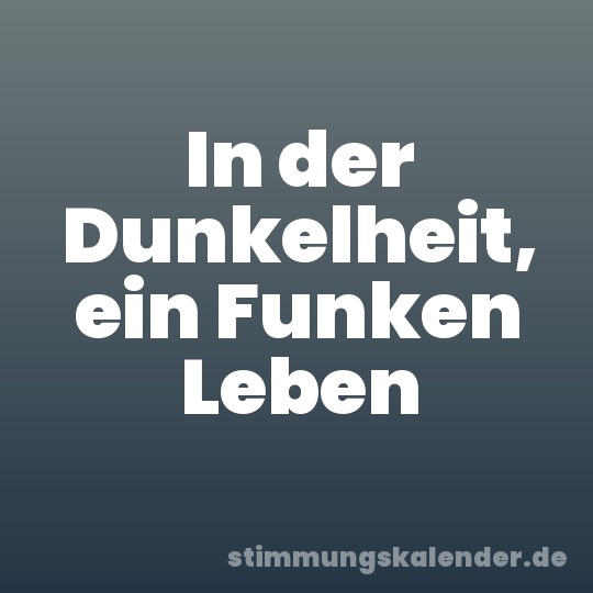 In der Dunkelheit, ein Funken Leben