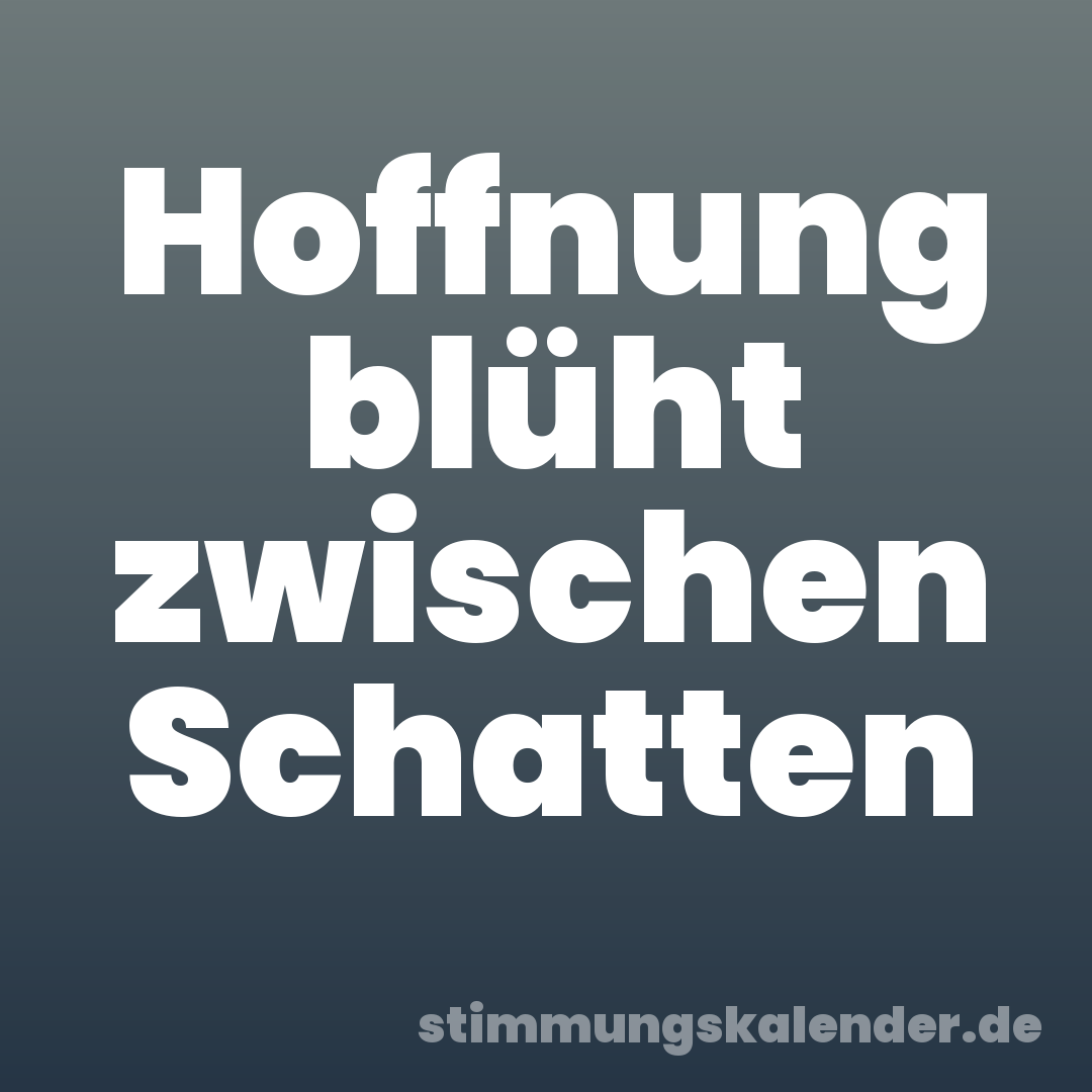 Hoffnung blüht zwischen Schatten