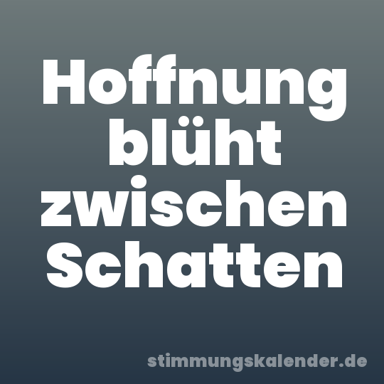 Hoffnung blüht zwischen Schatten
