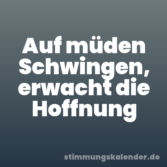 Auf müden Schwingen, erwacht die Hoffnung