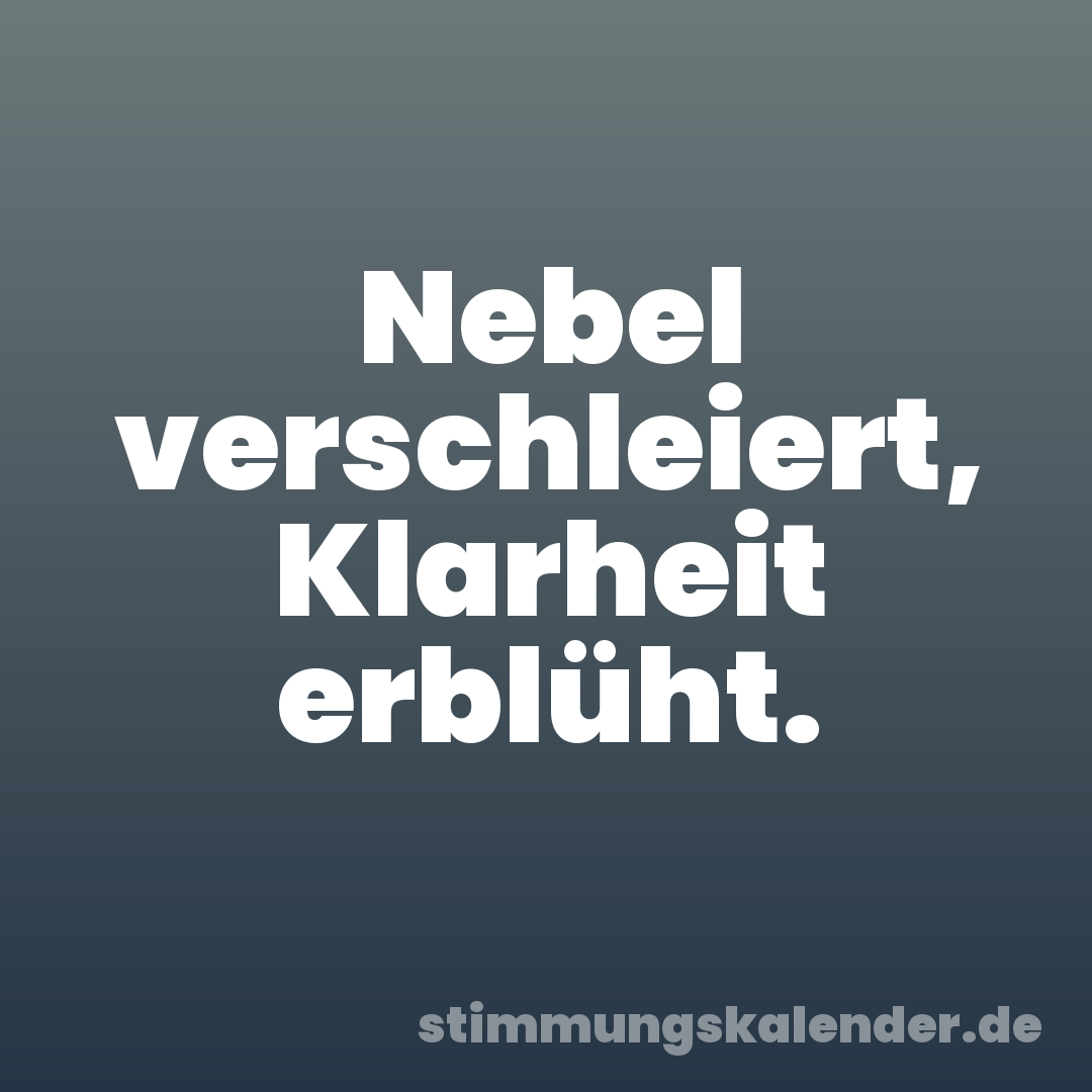 Nebel verschleiert, Klarheit erblüht.