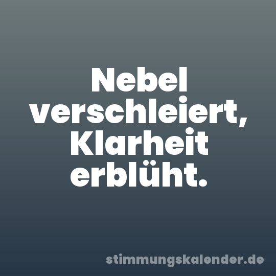 Nebel verschleiert, Klarheit erblüht.