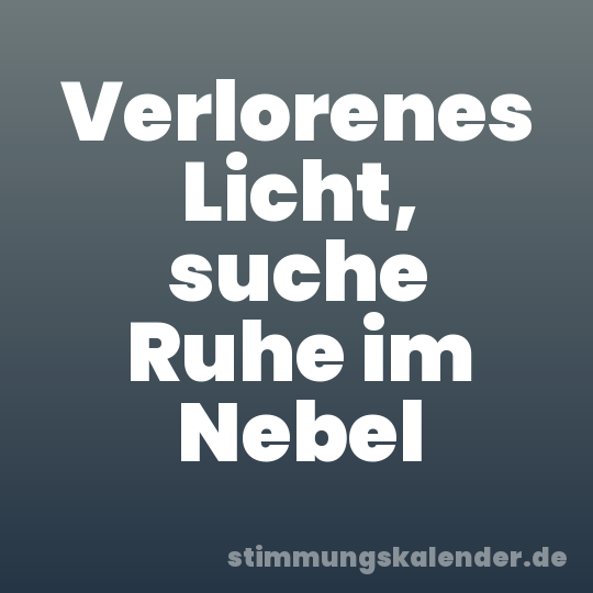 Verlorenes Licht, suche Ruhe im Nebel