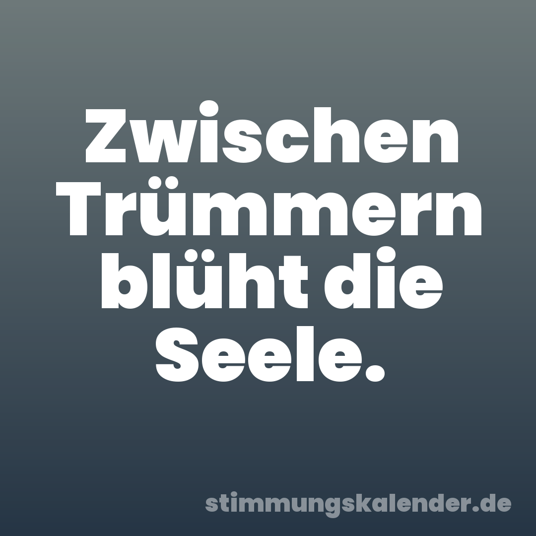 Zwischen Trümmern blüht die Seele.