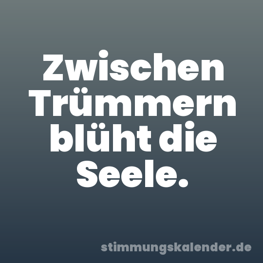 Zwischen Trümmern blüht die Seele.