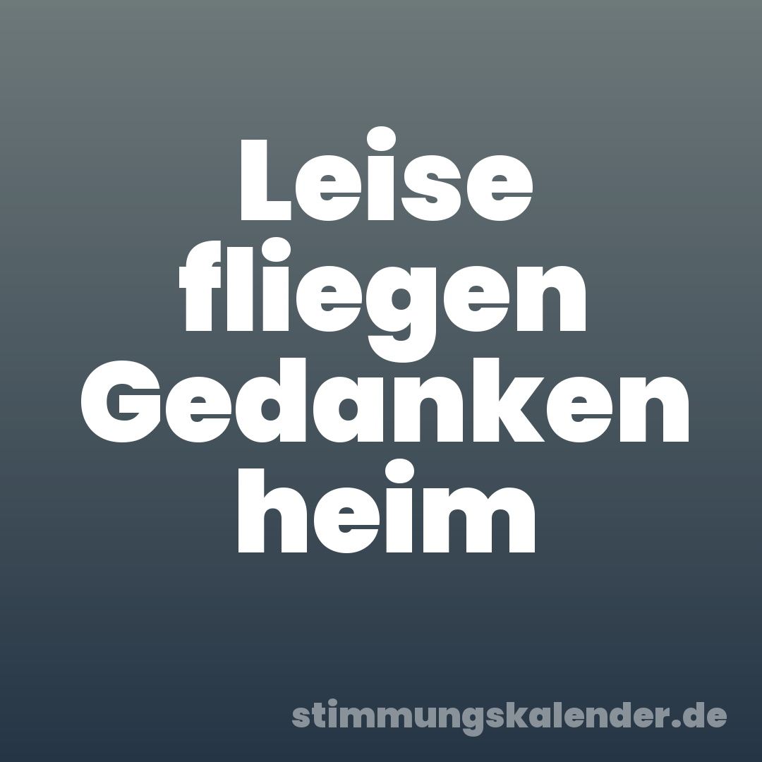 Leise fliegen Gedanken heim