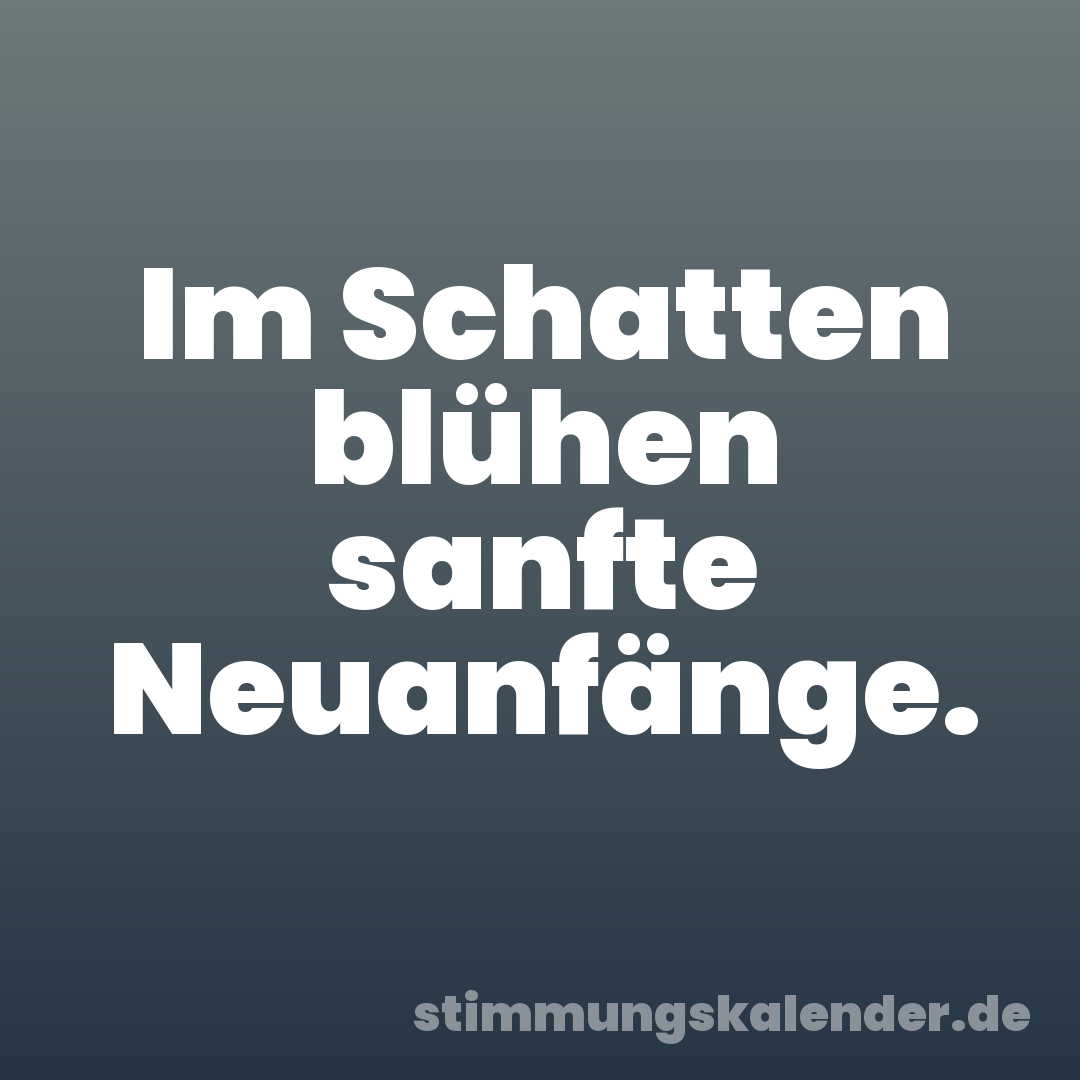 Im Schatten blühen sanfte Neuanfänge.