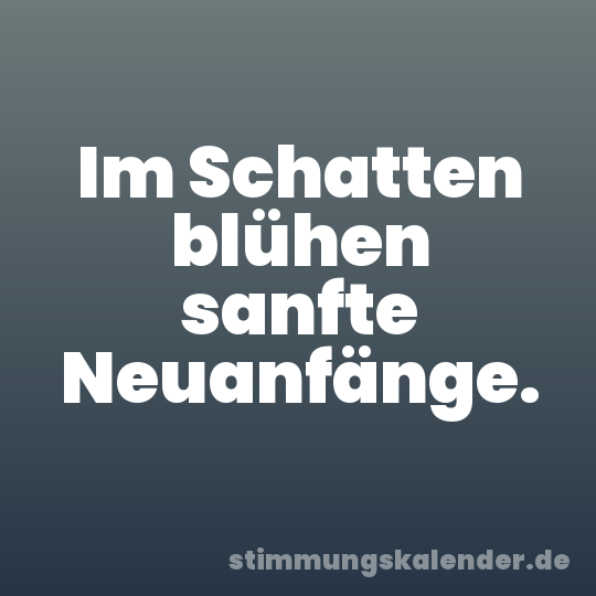Im Schatten blühen sanfte Neuanfänge.