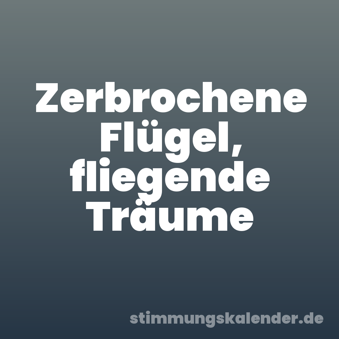 Zerbrochene Flügel, fliegende Träume