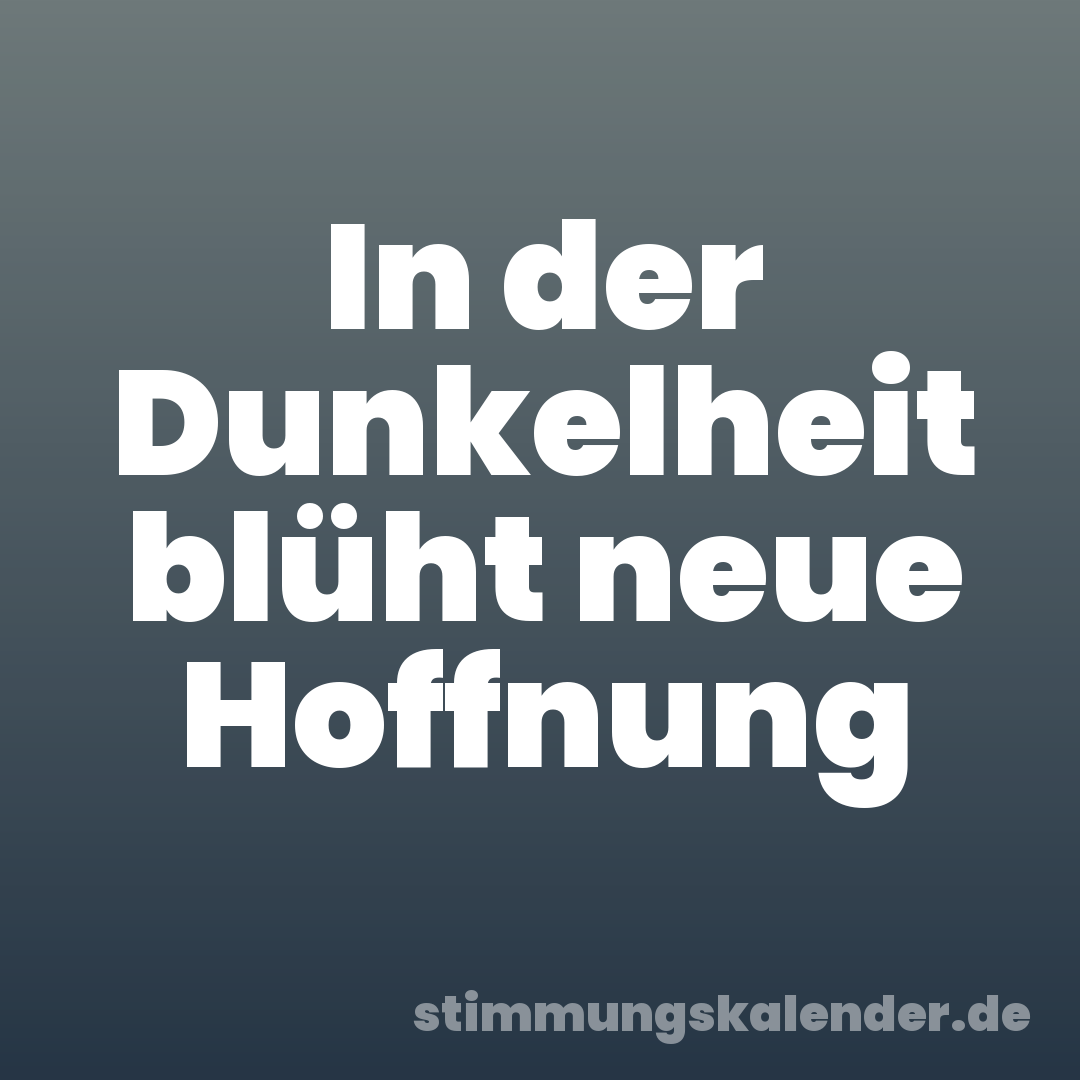 In der Dunkelheit blüht neue Hoffnung