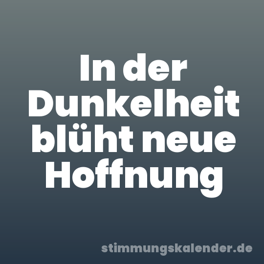 In der Dunkelheit blüht neue Hoffnung