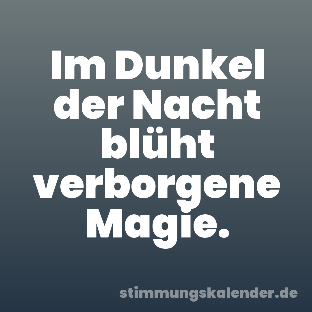 Im Dunkel der Nacht blüht verborgene Magie.