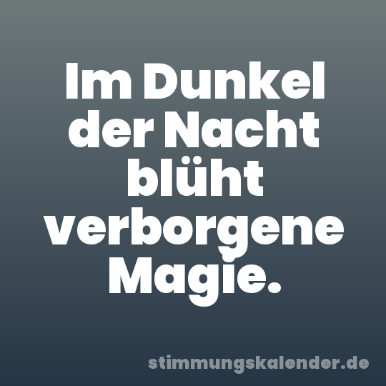 Im Dunkel der Nacht blüht verborgene Magie.