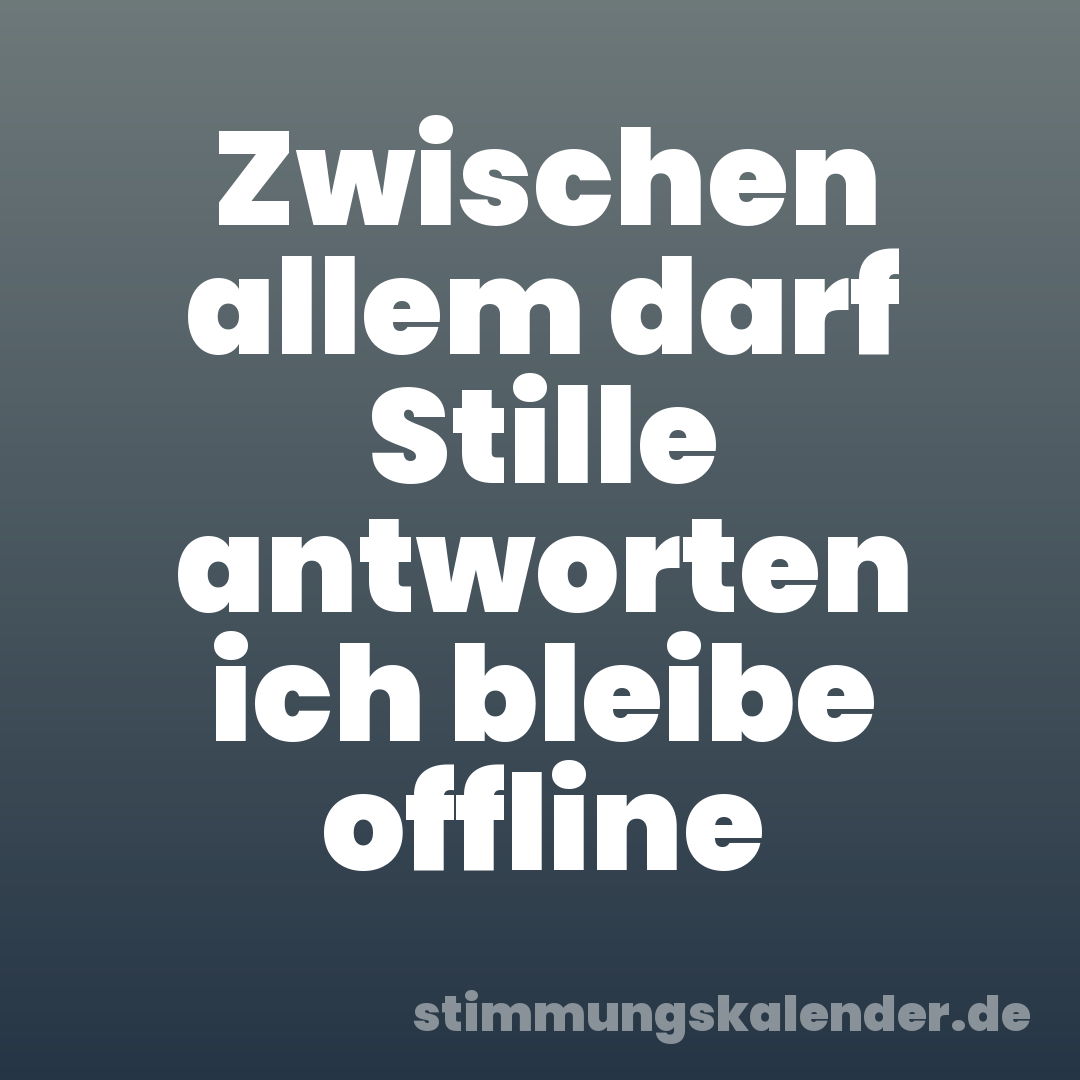 Zwischen allem darf Stille antworten ich bleibe offline