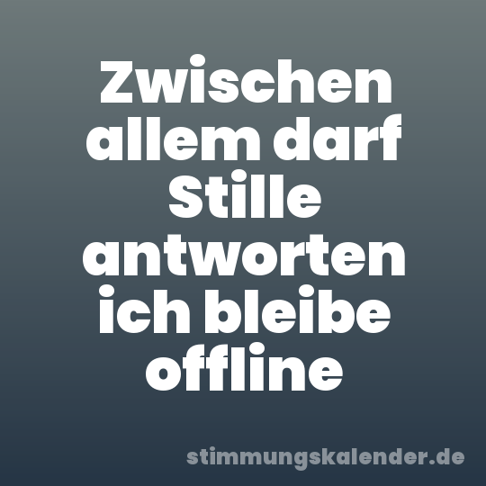 Zwischen allem darf Stille antworten ich bleibe offline
