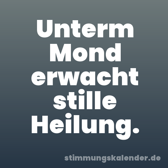 Unterm Mond erwacht stille Heilung.