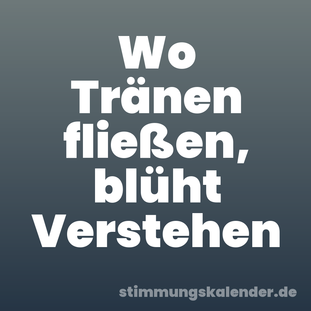 Wo Tränen fließen, blüht Verstehen