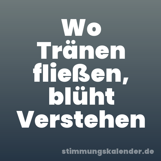 Wo Tränen fließen, blüht Verstehen