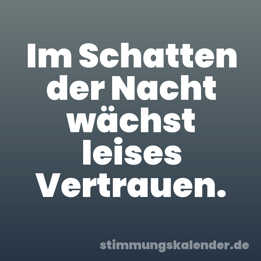 Im Schatten der Nacht wächst leises Vertrauen.