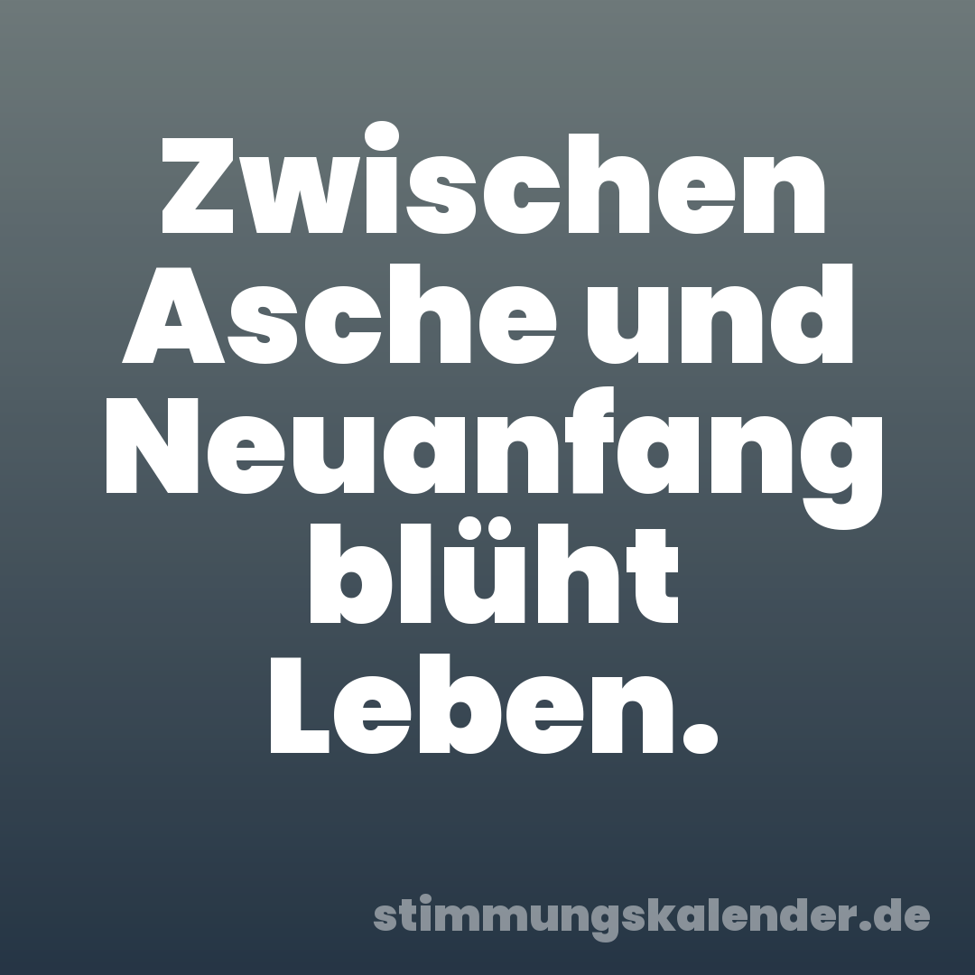 Zwischen Asche und Neuanfang blüht Leben.