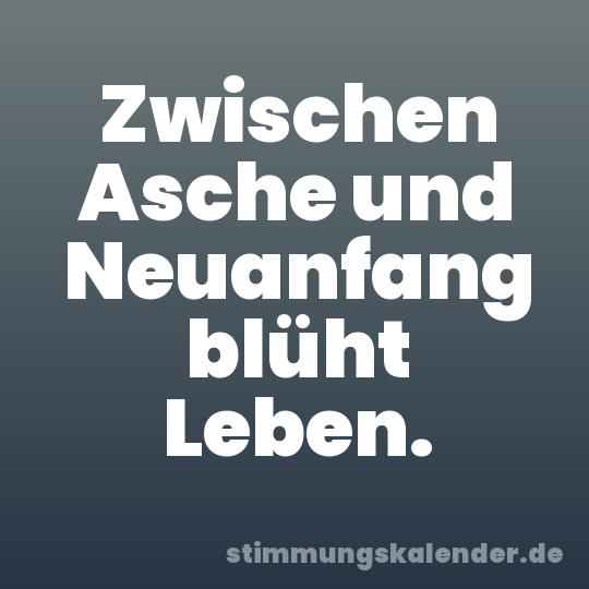 Zwischen Asche und Neuanfang blüht Leben.