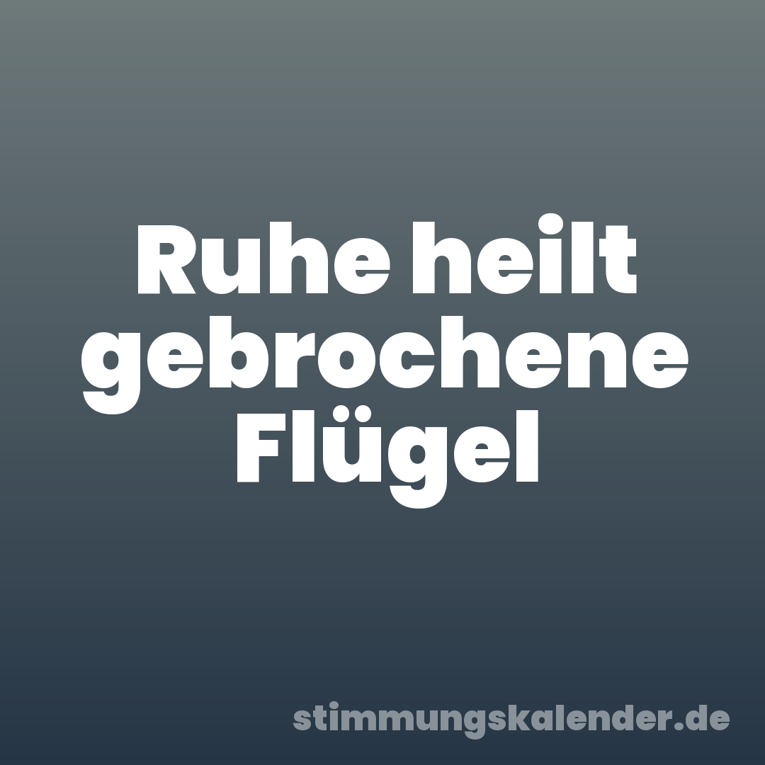 Ruhe heilt gebrochene Flügel