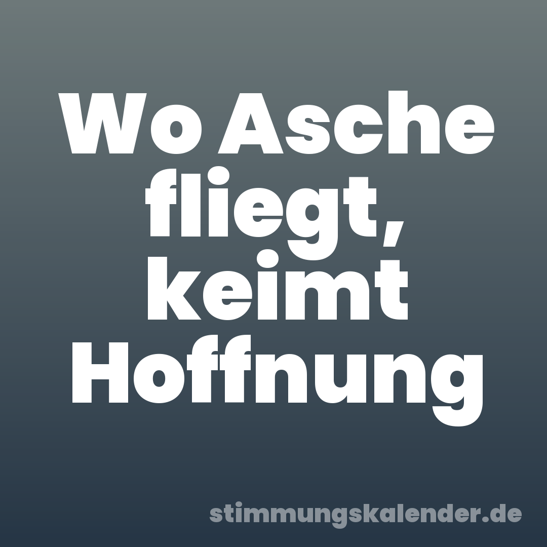 Wo Asche fliegt, keimt Hoffnung