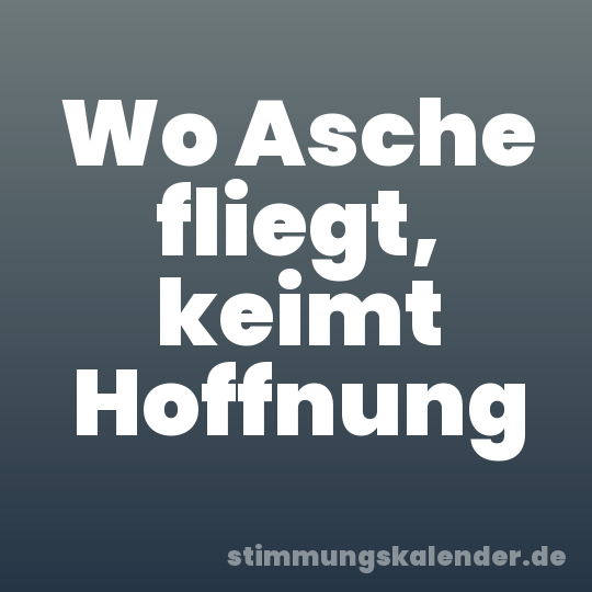 Wo Asche fliegt, keimt Hoffnung