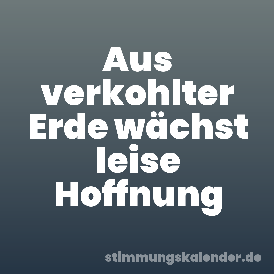 Aus verkohlter Erde wächst leise Hoffnung