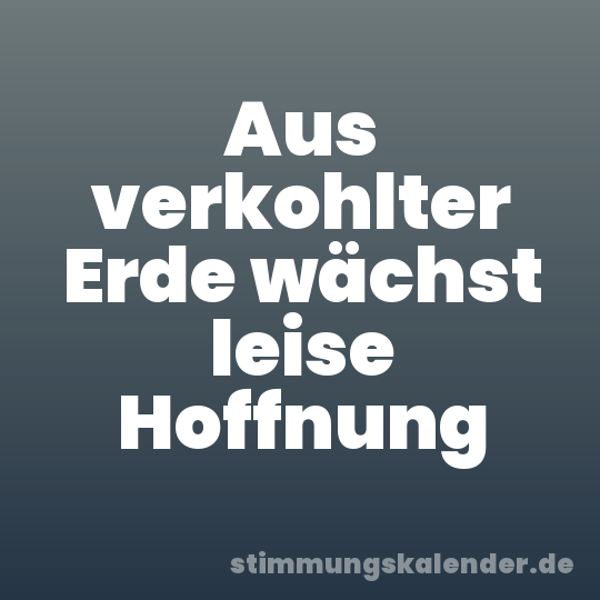 Aus verkohlter Erde wächst leise Hoffnung