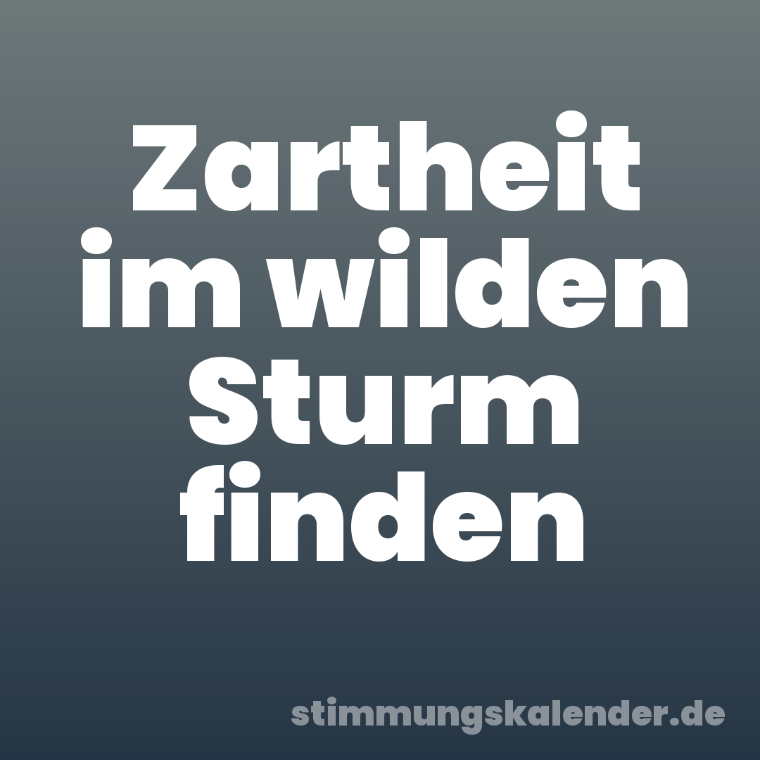 Zartheit im wilden Sturm finden