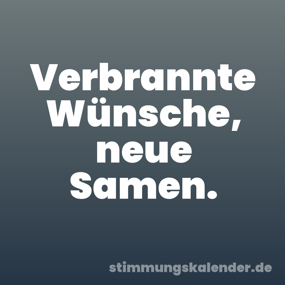 Verbrannte Wünsche, neue Samen.