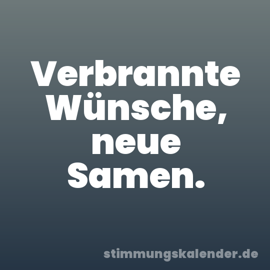 Verbrannte Wünsche, neue Samen.