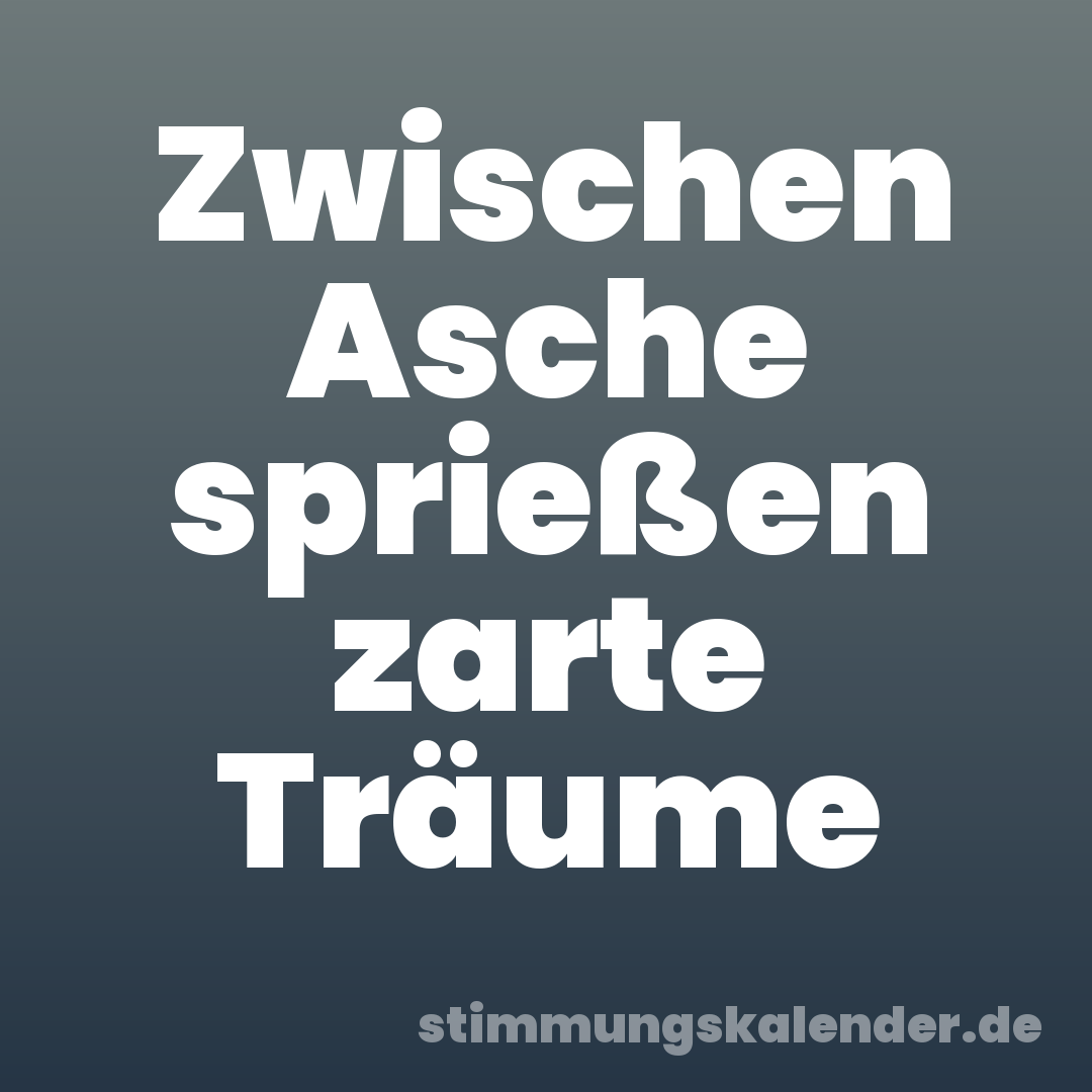 Zwischen Asche sprießen zarte Träume