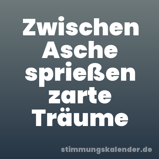 Zwischen Asche sprießen zarte Träume