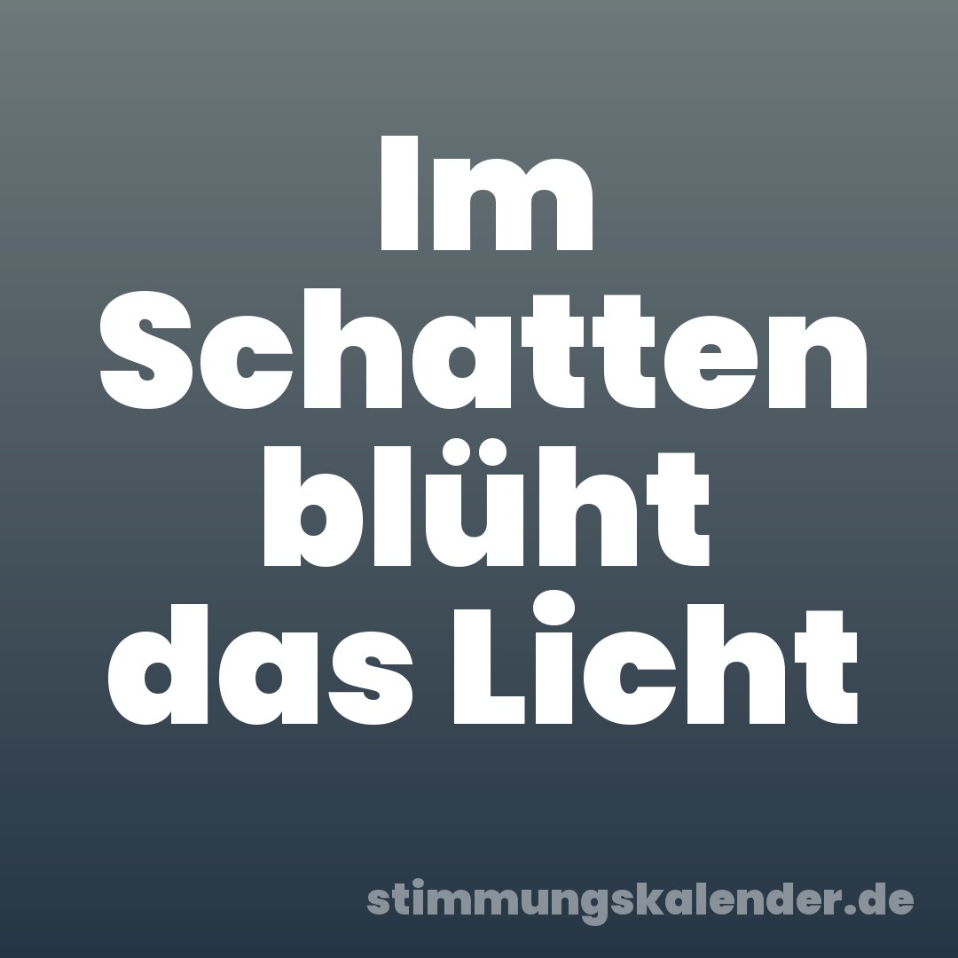 Im Schatten blüht das Licht