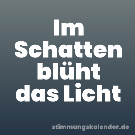 Im Schatten blüht das Licht
