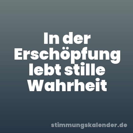 In der Erschöpfung lebt stille Wahrheit