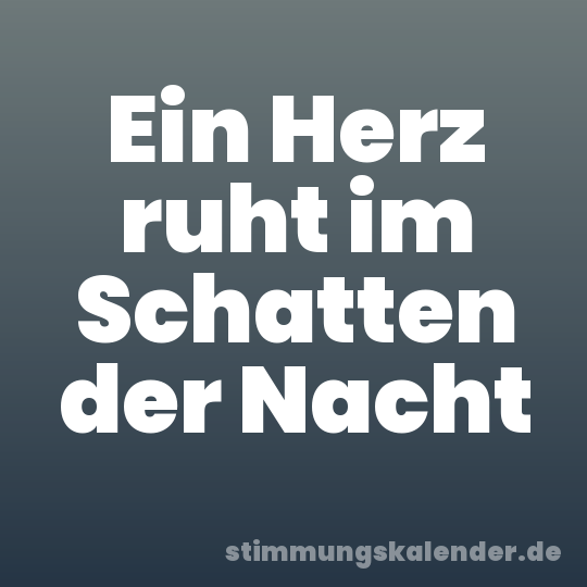 Ein Herz ruht im Schatten der Nacht